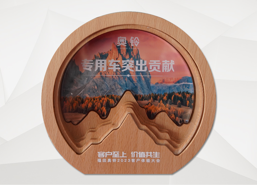  奥铃专用车突出贡献奖